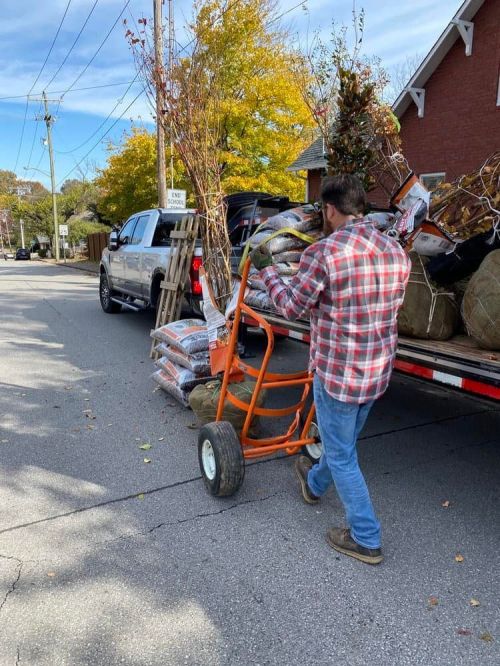 Man moving tree supplies.