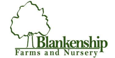 Blankenship farms and nursery logo. Blankenship Farms & Nursery