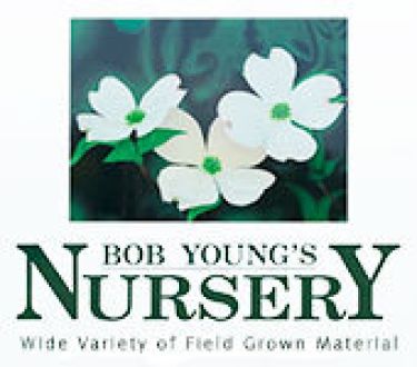 Bob young's nursery logo. Bob Young Nursery