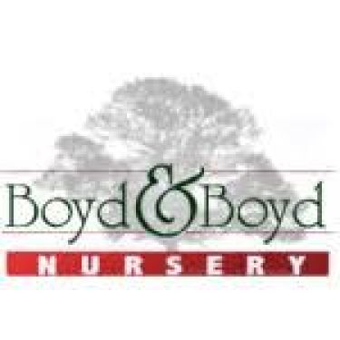 Boyd & Boyd nursery logo. Boyd & Boyd Nursery