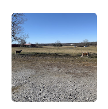 Circle j tree farm photo. Circle J Tree Farm