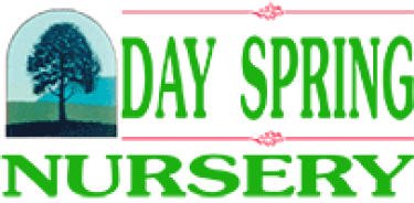 Day spring nursery logo. Day Spring Nursery