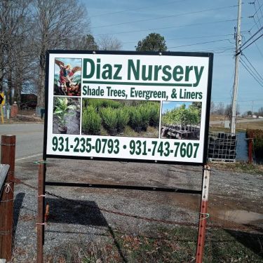 Diaz nursery sign. Diaz Nursery