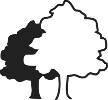 Dry shave mountain nsy logo. Dry Shave Mountain Nsy